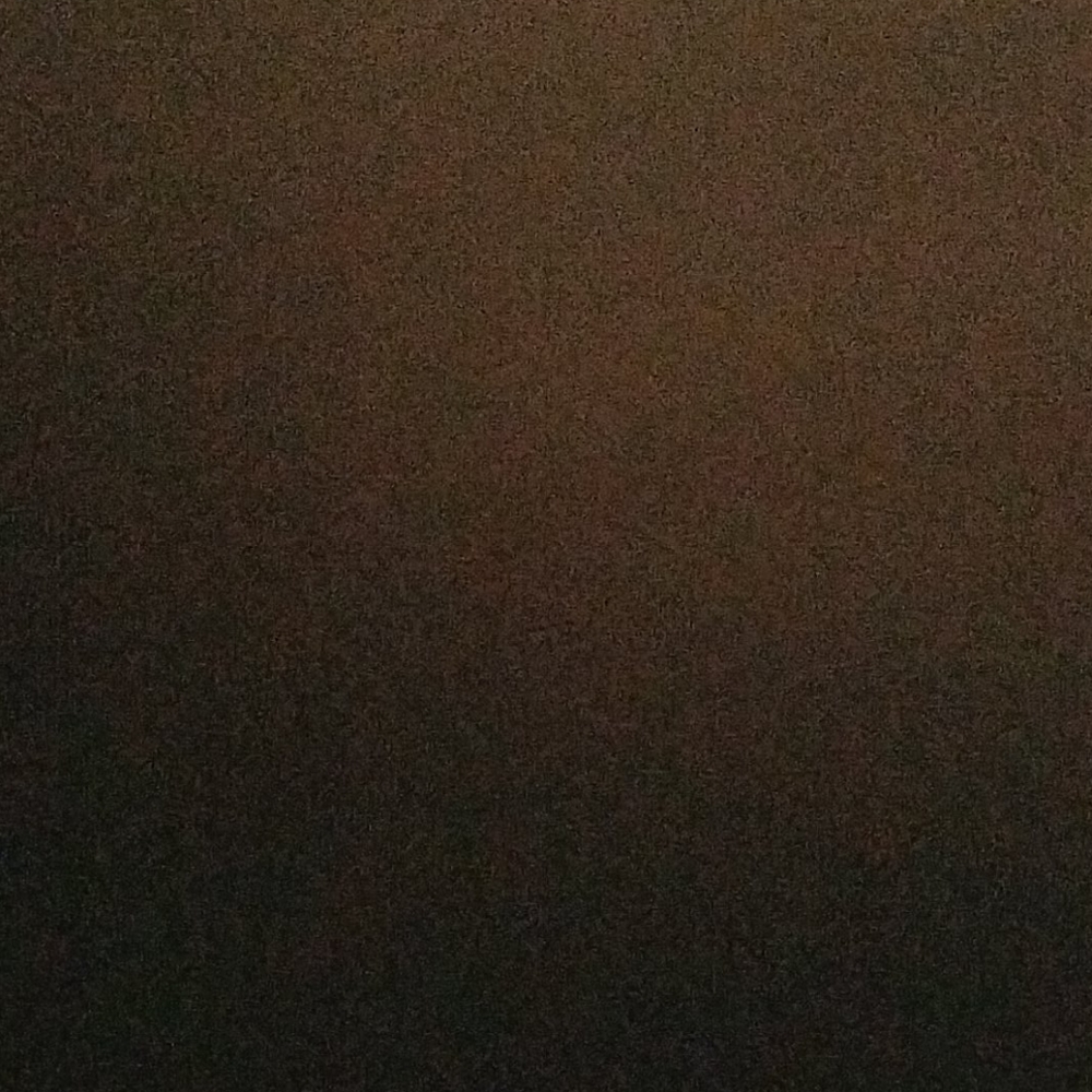 Meet your Posher, Vianey